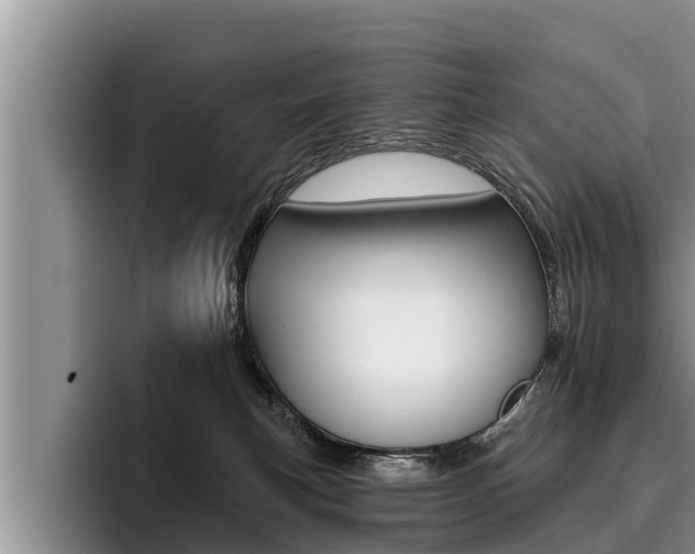 X0000096210183200801181017