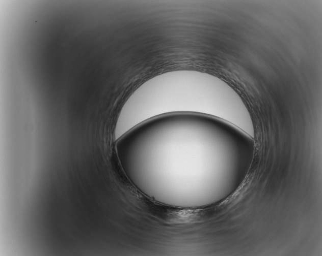 X0000096210184200801181017