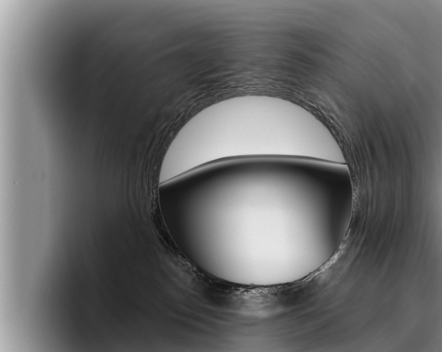 X0000096210186200801181017
