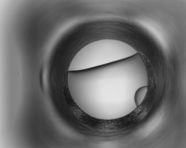X0000096210189200801181017