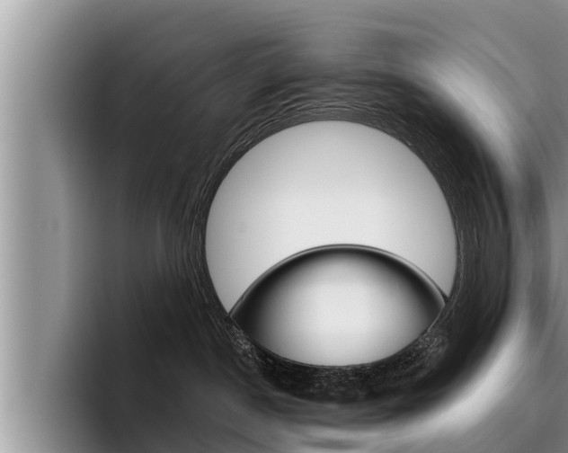 X0000096210190200801181017