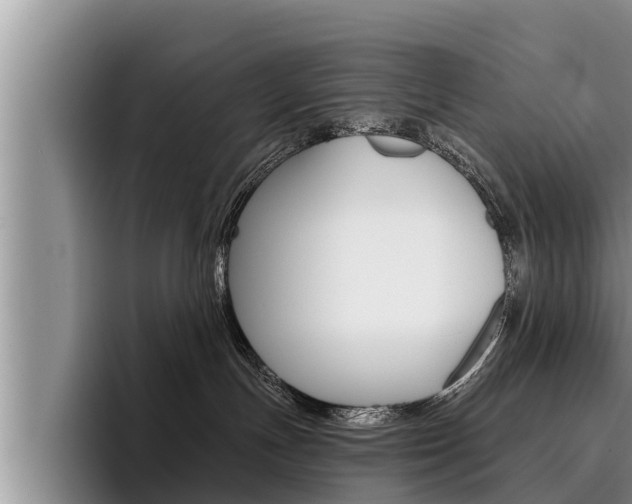 X0000096210191200801181017