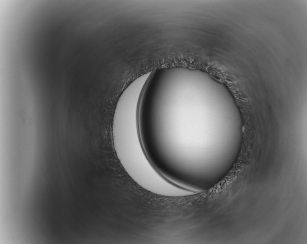 X0000096210192200801181017