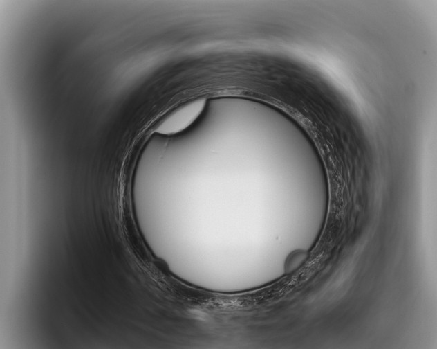 X0000096210194200801181016