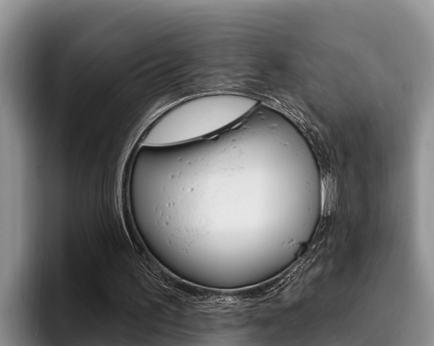 X0000096210195200801181016