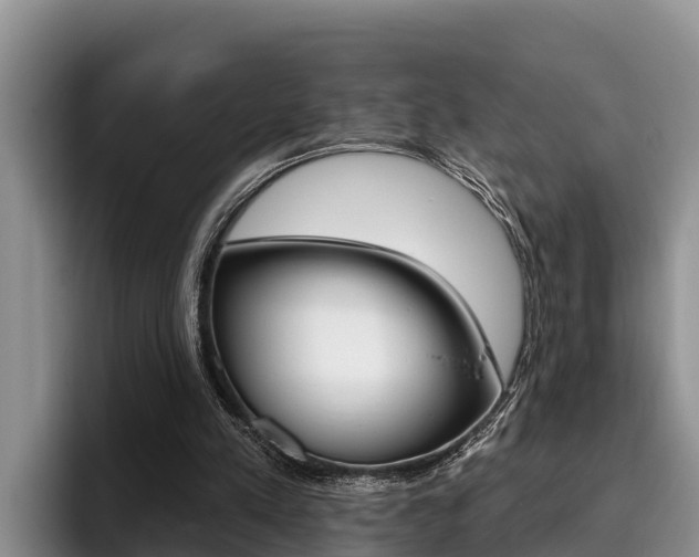 X0000096210197200801181016