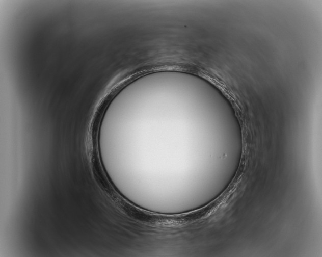 X0000096210198200801181016