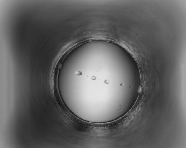 X0000096210199200801181016