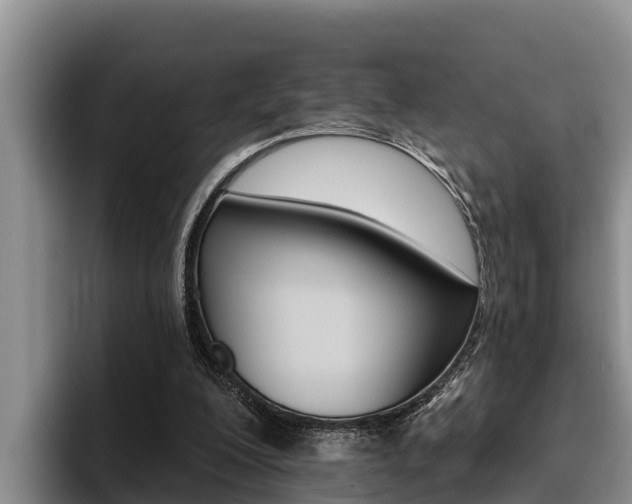 X0000096210200200801181016