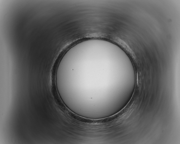 X0000096210204200801181016