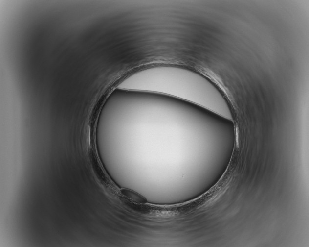 X0000096210205200801181016