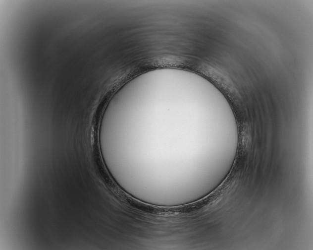 X0000096210206200801181016