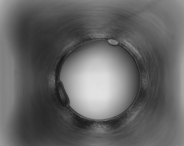 X0000096210207200801181016