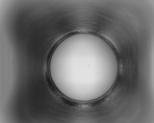 X0000096210208200801181016
