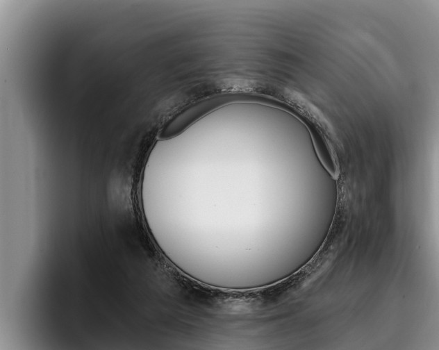 X0000096210209200801181016