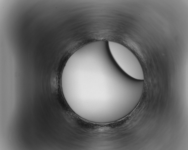 X0000096210210200801181016