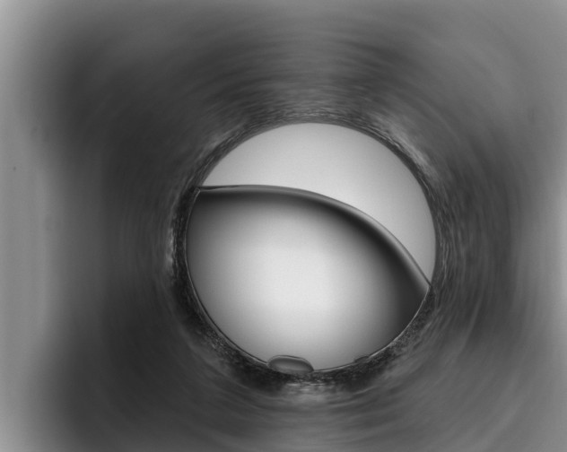 X0000096210211200801181016
