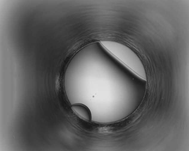 X0000096210216200801181016