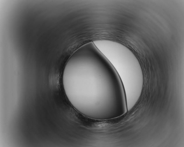 X0000096210219200801181016