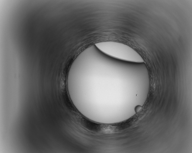 X0000096210226200801181016
