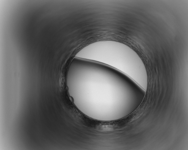 X0000096210228200801181016