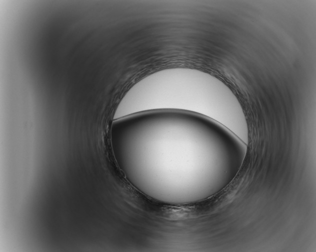 X0000096210229200801181016