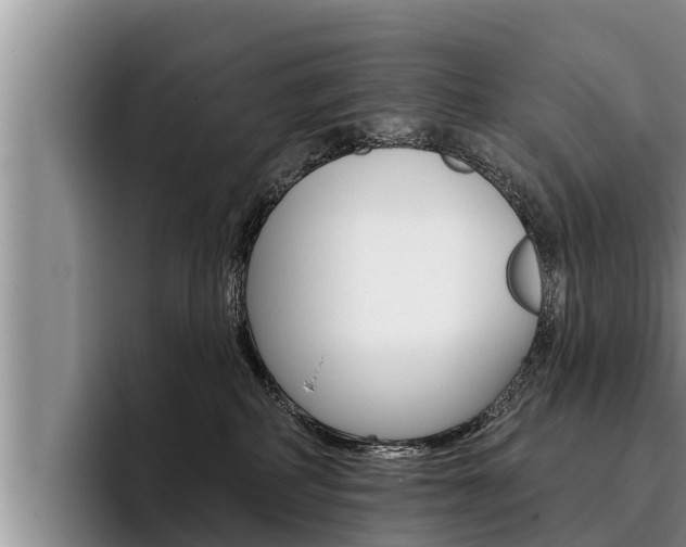 X0000096210234200801181016