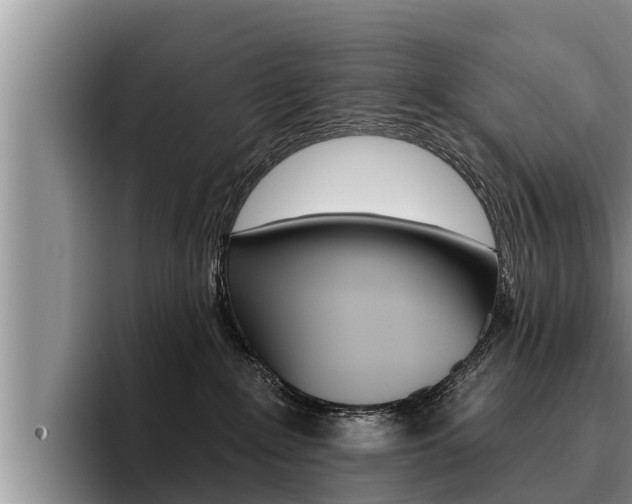 X0000096210235200801181016