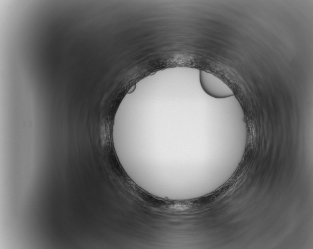 X0000096210236200801181016