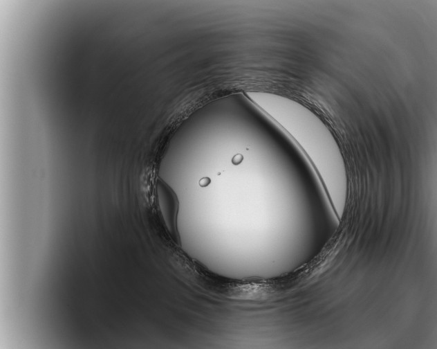 X0000096210237200801181015