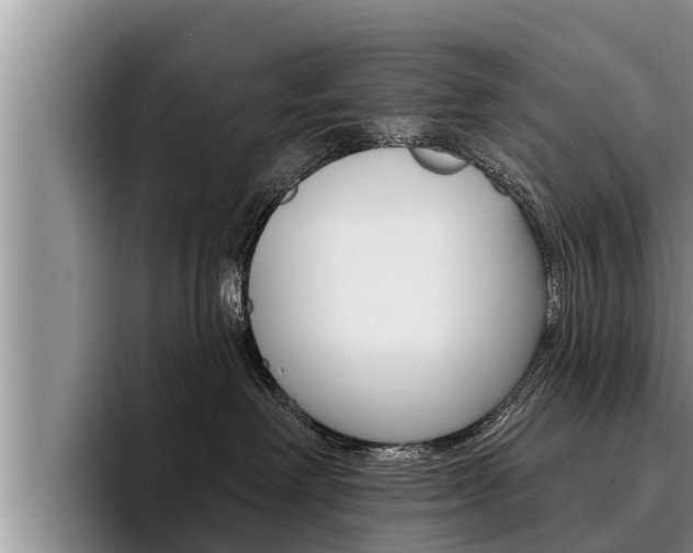 X0000096210238200801181015