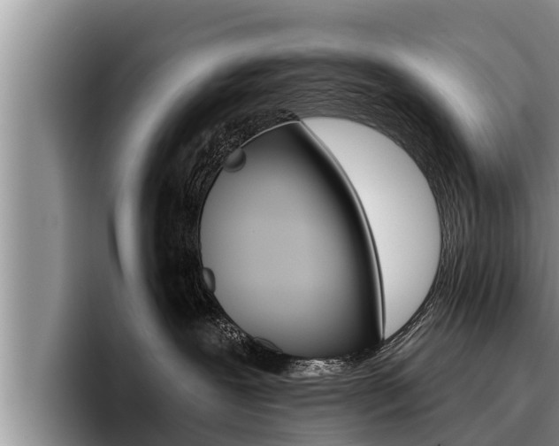 X0000096210239200801181015