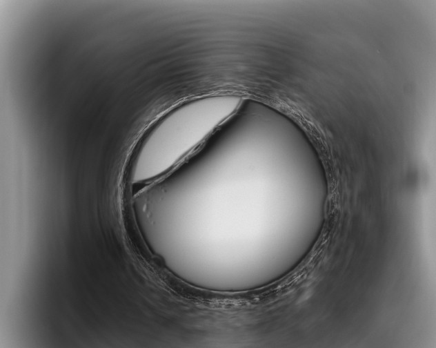 X0000096210242200801181015