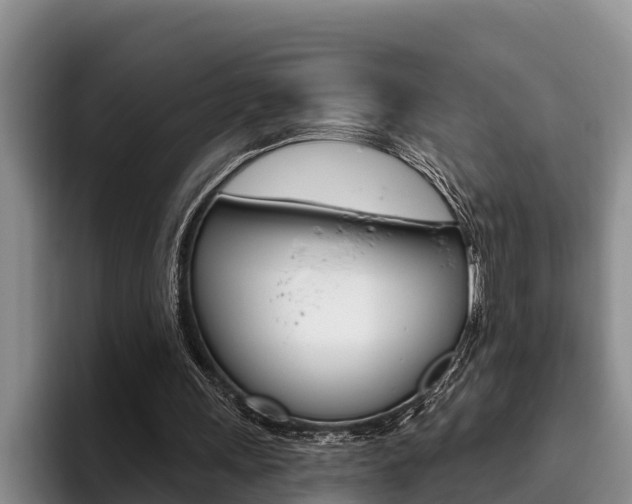 X0000096210243200801181015
