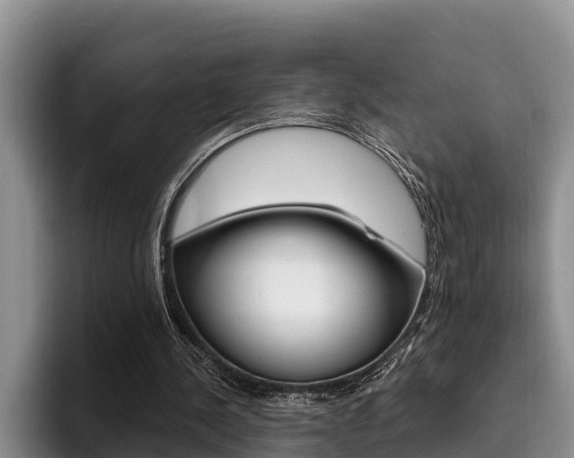 X0000096210244200801181015