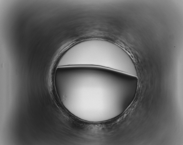 X0000096210245200801181015