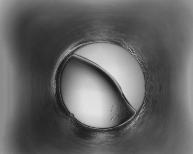 X0000096210246200801181015