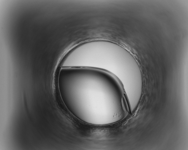 X0000096210248200801181015