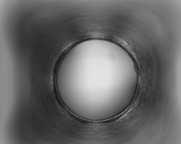 X0000096210249200801181015