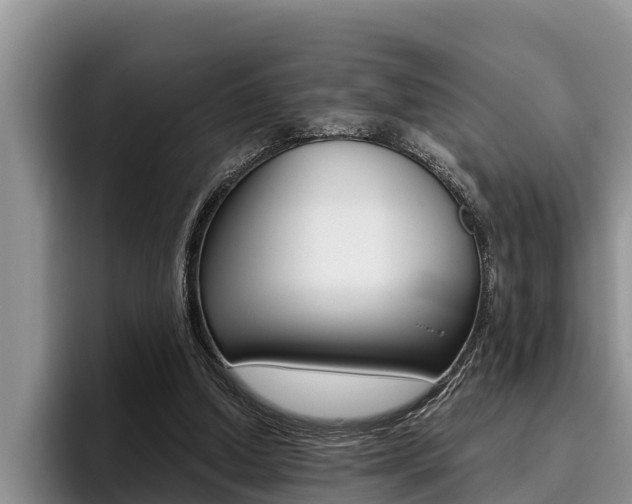 X0000096210250200801181015