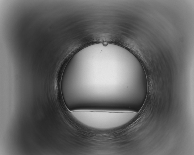 X0000096210251200801181015