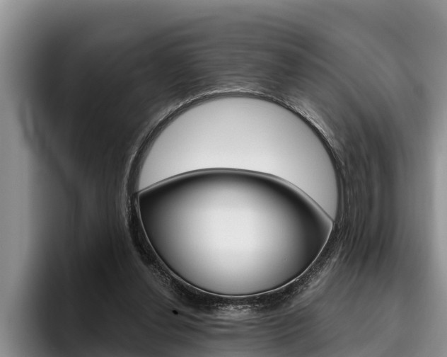 X0000096210252200801181015