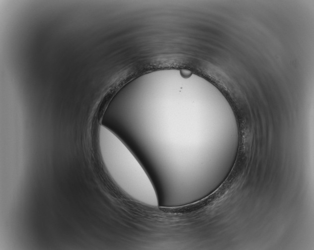 X0000096210254200801181015