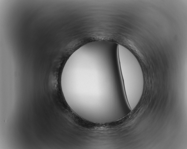 X0000096210259200801181015