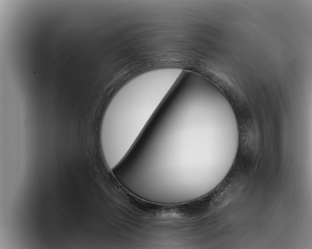 X0000096210262200801181015