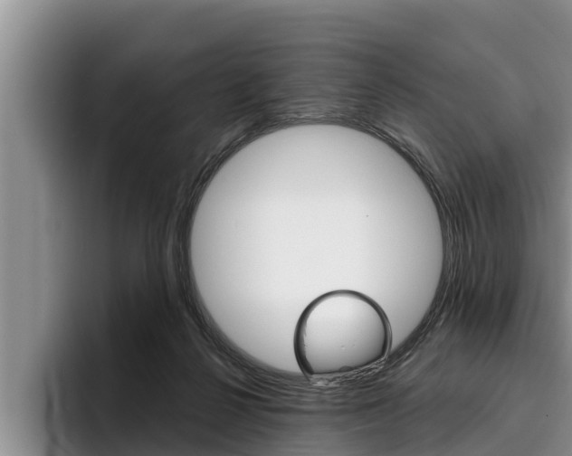 X0000096210264200801181015