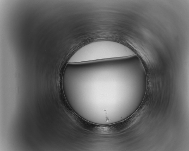 X0000096210265200801181015