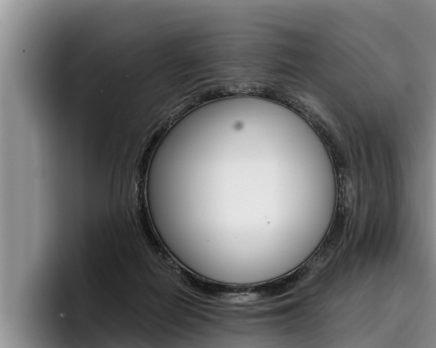 X0000096210266200801181015