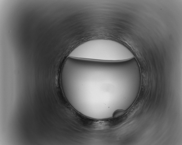 X0000096210269200801181015