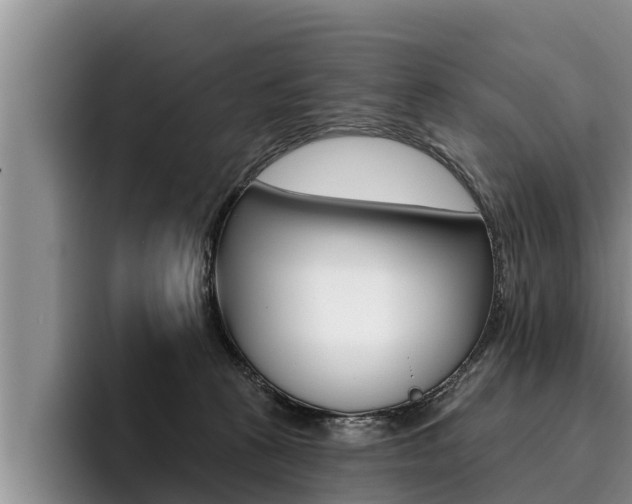 X0000096210273200801181015